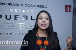 Tonantzin Fernández: marcha del domingo revelará aliados&nbsp;de la 4T y el gobernador