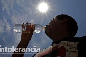 Al menos 48 muertos por "ola" de calor en México, informa
Secretaría de Salud