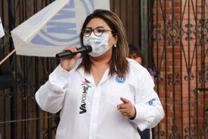 Politólogo ICI: limpieza en grupo de Genoveva Huerta abre lugares al "Yunque"