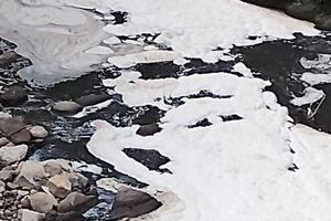 Río
Alseseca expande espuma tóxica en Puebla, denuncia colectivo