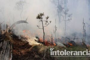 Suspende SEP Puebla clases en 7 escuelas de Zacatlán por incendio forestal