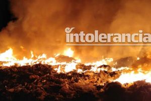 Puebla
llega a 220 incendios forestales; es cuarto lugar nacional