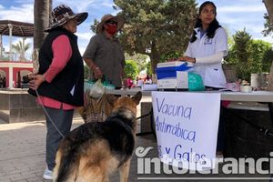 En Amozoc continúa Jornada de Vacunación Antirrábica