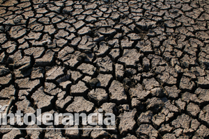 Agudiza crisis del agua en Puebla, advierten especialistas ITESM