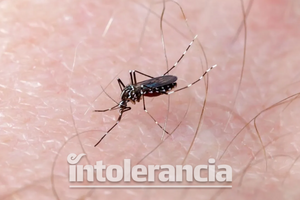 Dengue "azota" Puebla; aumenta 170% más que en 2023