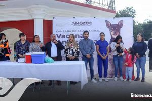 Un éxito la campaña de vacunación antirrábica en Amozoc