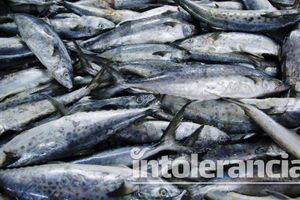 Restaurantes de pescados y mariscos repuntarán 40% ventas en Semana Santa