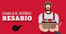 10 de mayo – Flores de un día
