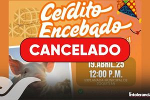 Cancelan en Zoquitlán evento del “Cerdito Encebado” por constituir maltrato animal