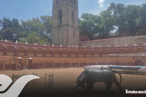 Difunden zonas arqueológicas para evento CONADE Tlaxcala 2025