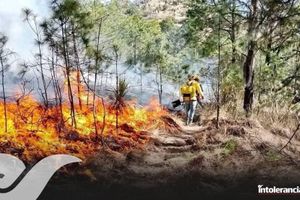 Van 56 horas de incendios en Puebla; siguen tres activos  