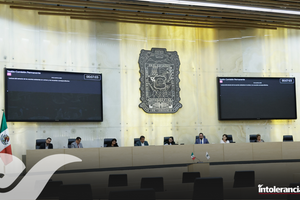 Congreso de Puebla pide priorizar en Poder Judicial atención para adultos mayores