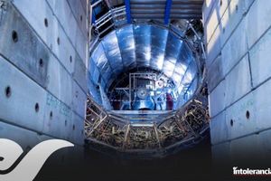 CERN logra transmutación de plomo en oro en el Gran Colisionador de Hadrones