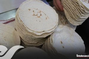 Sheinbaum firma acuerdo para regular precio de la tortilla