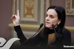 PAN debe abrirse, pide Mónica Rodríguez