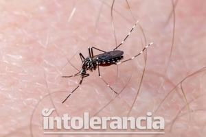 Primera muerte por dengue en Puebla, fue de un menor de edad