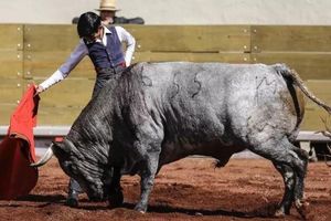 Participará joven de Tlaxcala en Encuentro Mundial de Escuelas Taurinas