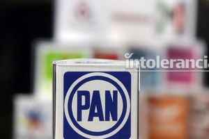 Desgaste en PAN Puebla debe resolverse
con "operación cicatriz": politóloga UPAEP