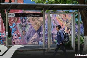 Licitación de más de 400 paraderos se publicará hasta julio